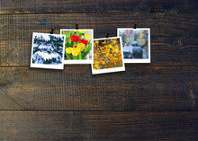 Four Photos Of Four Seasons On Dark Wooden Surface. Seasons On Dark Background