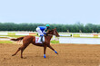 a jockey rides a brown horse on a racetrack on a sandy starting track