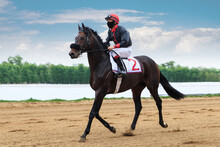 A Jockey Rides A Brown Horse On A Racetrack On A Sandy Starting Track