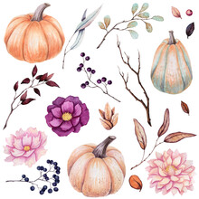 Set Of Watercolor Pumpkins, Berries And Tree Branches