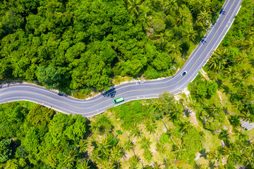 High angle view of  road pass through coconut tree forest in Khanom, Nakhon si thammarat, Thailand.