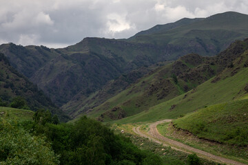 Mountain landscape with blue sky. Panoramic view of green hills.