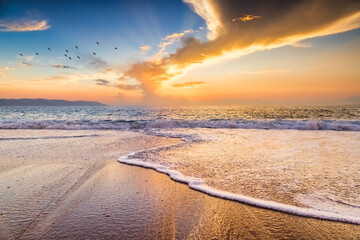 Wall Mural - Sunset Beach Ocean Sun Ray Birds Nature Landscape