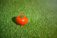 Small Ripe Tomato On Green Grass