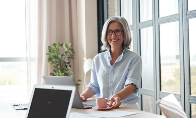Wall Mural - happy old female mentor, coach or teacher standing at table during workshop. smiling mature business