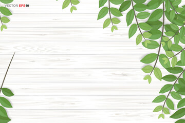 Poster - Wood texture background with green leaves. Vector illustration.