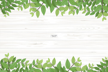 Poster - Wood texture background with green leaves. Vector illustration.