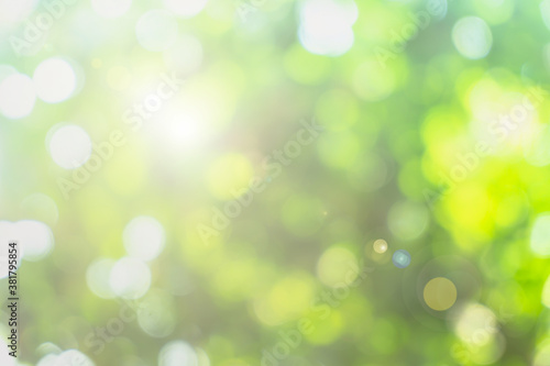 Natural spring blurred green leaves background. Create light soft blurred colors in bright sunshine. Green bokeh abstract glitter light background. Focus texture from nature forest fresh shiny growth.