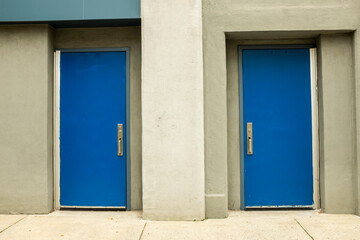 Poster - Two blue doors