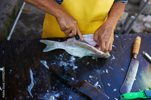 Fotografía A worker cleaning and filleting a fresh caught saltwater striped bass fish