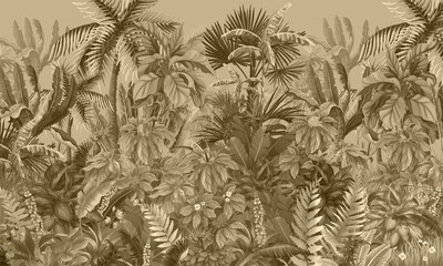 Tropical forest, jungle, sepia