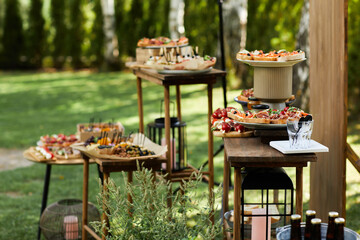 wooden buffet table with snack, appetizer and fruits decorated outdoor in summer day