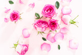 Fototapeta  - Pink roses