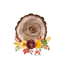 Fall Floral Decoration. Watercolor Hand Painted Autumn Flowers, Wood Slice And Foliage Illustration. Burgundy, Red, Yellow, Purple Flower Bouquets. Thanksgiving Day Card.