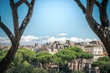 View of Rome with pines in foreground and ancient buildings and blue sky with clouds in background. Skyline of Roma, italian capital, in a summer sunny day. Postcard from italy, roman architecture