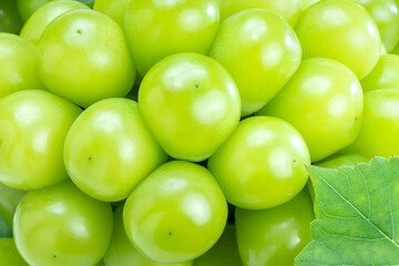 Wall Mural - close up shot of sweet green grape with leaves, shiny and glossy fresh shine muscat grape.