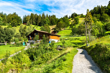 Poster - Traditional wooden houses in the mountain village of Wengen, Switzerland