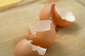 broken egg shells