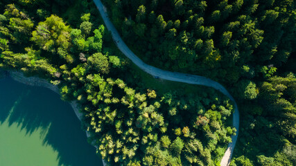 road under forest near a lake, aerial view in the daytime