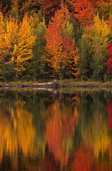 autumn colours