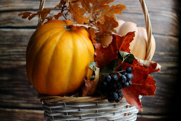 Fruits and vegetables with pumpkins in autumn vintage still life. Dark