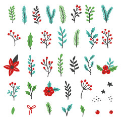 Wall Mural - Set of christmas floral decoration element with flower, leaves, berries. Hand drawn doodle style. Illustration for winter ornament design.