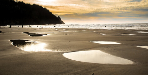 Wall Mural - Sunser on the central Oregon Coast at Neskowin beach, just north of Lincoln City.  Centuraries old tree stumps are in the foreground  Centuries old tree stumps are in foreground.