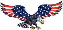 American Eagle With USA Flags