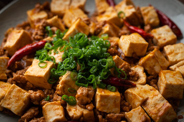 Wall Mural - mapo tofu. traditional spicy chinese food