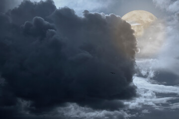 Wall Mural - Overcast full moon night