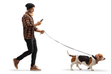 Full Length Profile Shot Of A Bearded Guy Using A Mobile Phone And Walking A Basset Hound Dog