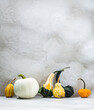 © Bidwell Studio - Artisanal pumpkins and gourds on a neutral background