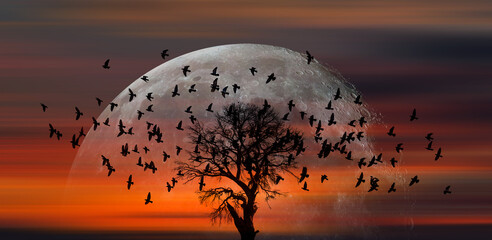Wall Mural - silhouette of birds with lone tree, full moon at amazing sunset in the background 