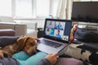 © Paul Bradbury/Caia Image - Dog sleeping on woman with laptop video chatting with doctors