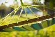 © Martin Barraud/Caia Image - Close up hammock in sunny garden