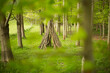 © Martin Barraud/Caia Image - Branch teepee in woodland