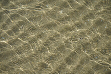 Clean Transparent Sea Water With Small Ripples And Glare From The Bright Sun, Through Which You Can See The Sandy Seabed With Bizarre Dunes And Small Shells