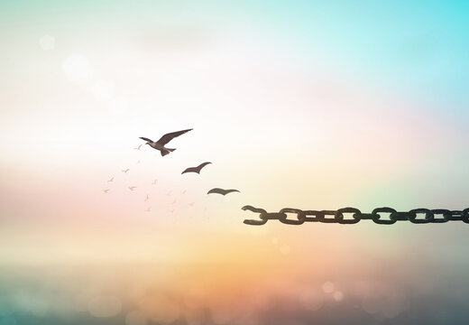 individual human right day concept: silhouette of bird flying and broken chains over blurred sunrise