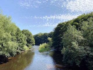 The river Aire, as it flows through Calverley, with tree lined banks, and a blue sky above in, Calverley, Leeds, UK