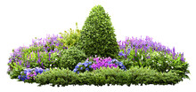 Cutout Flower Bed. Garden Design Isolated On White Background. Flowering Shrub And Green Plants For Landscaping. Decorative Hedge. High Quality Clipping Mask.