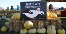 Please Keep One Ghost Apart Board Display At The Entrance Of A Pumpkin Patch During The Pandemic Coronavirus In Utah, USA. -  Close Up Shot