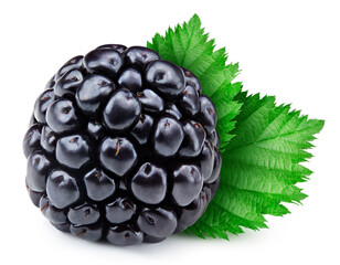 Wall Mural - One ripe blackbery with green leaf clipping path