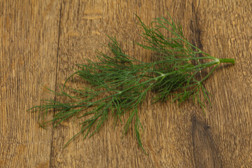 Fresh green dill herb branch