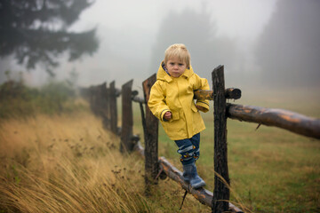 Poster - Cute blond toddler child, boy, playing in the rain with umbrella on a foggy autumn day