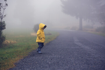 Poster - Cute blond toddler child, boy, playing in the rain with umbrella on a foggy autumn day