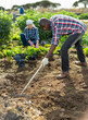 © JackF - Friendly family works on garden beds. High quality photo