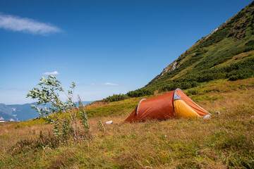 closeup shot of a tent in a field