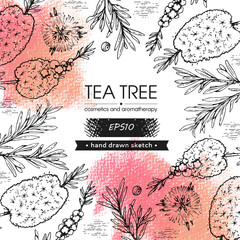 Background with branches with leaves and flowers of tea tree. Detailed hand-drawn sketches, vector botanical illustration.