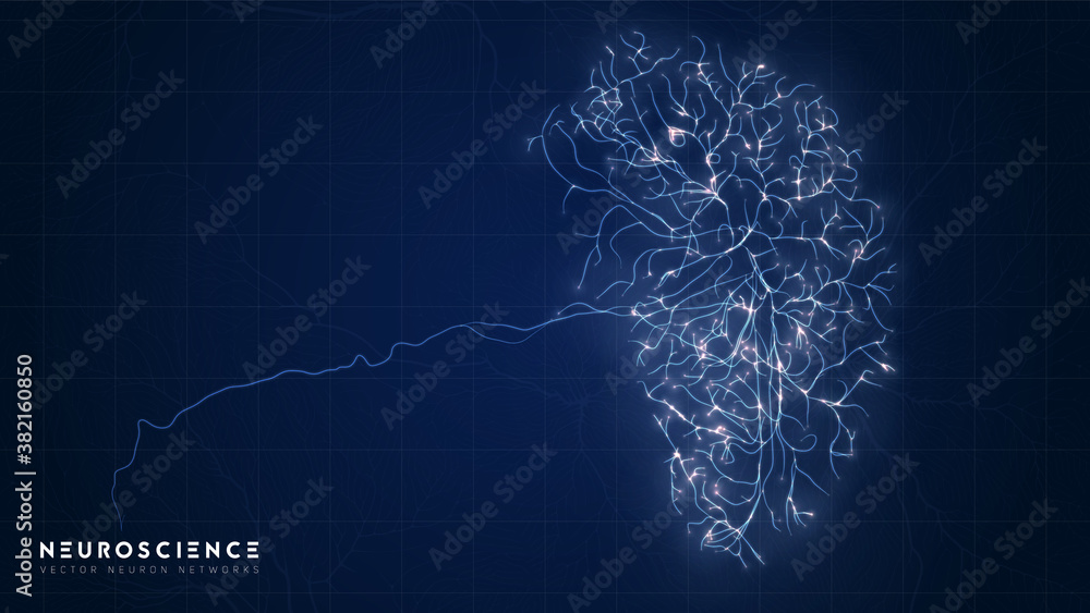 Neuron system complex model. Neural net structure. Research of the ...