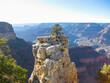 © Brad - Lone tree perched atop a butte in the Grand Canyon